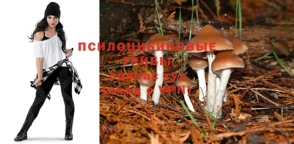 синтетический гашиш Баксан